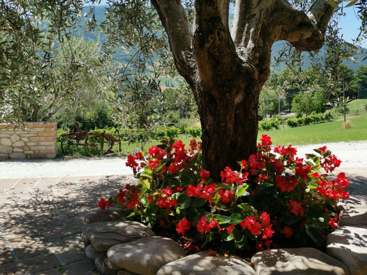 Agriturismo Sole Luna 피아노 델레 피에베 외부 사진