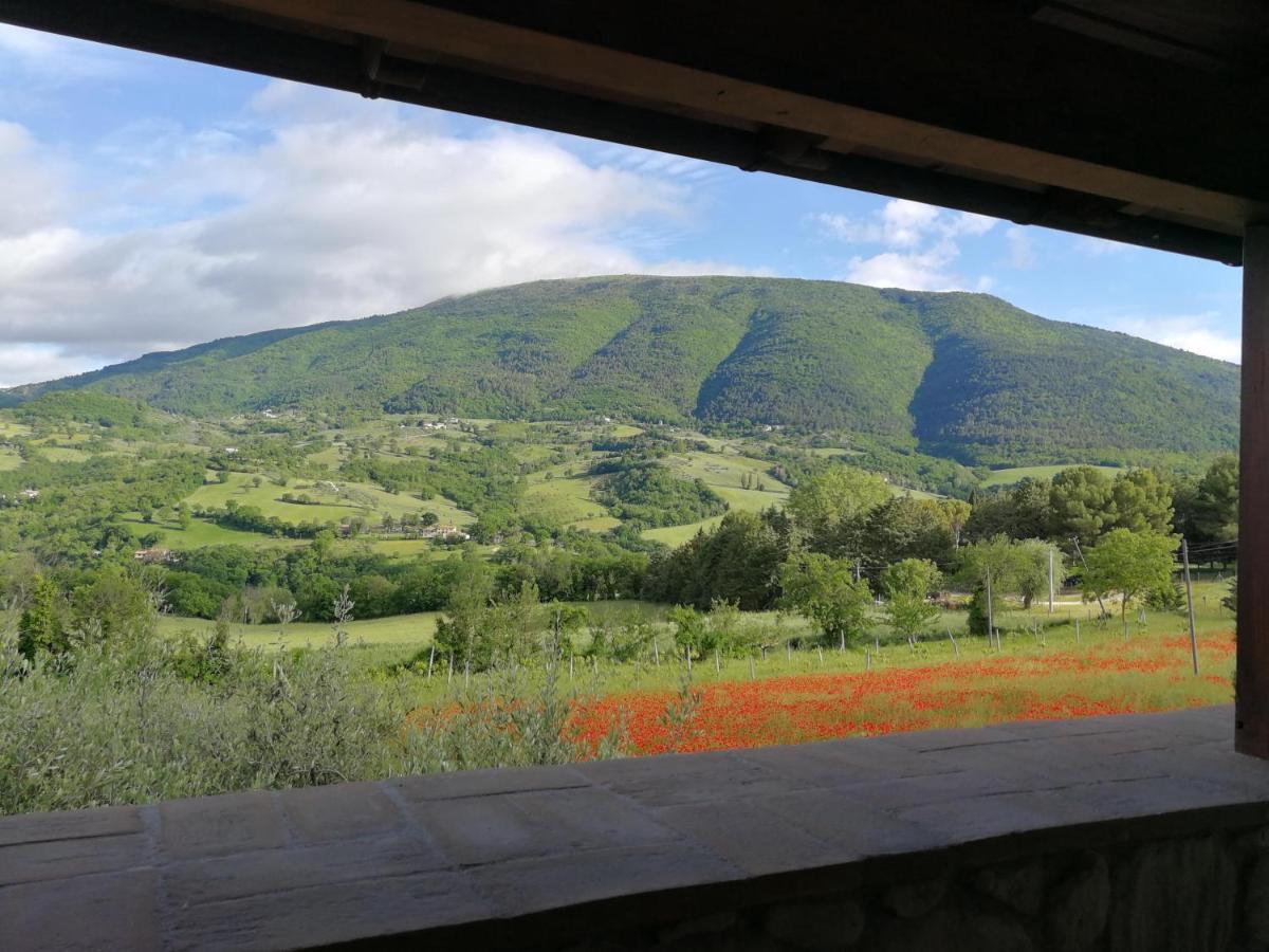 Agriturismo Sole Luna 피아노 델레 피에베 외부 사진